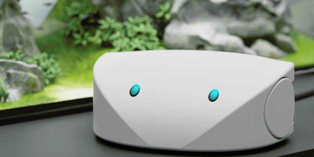 Stayrai: Your Ultimate Guide to Stress-Free Living