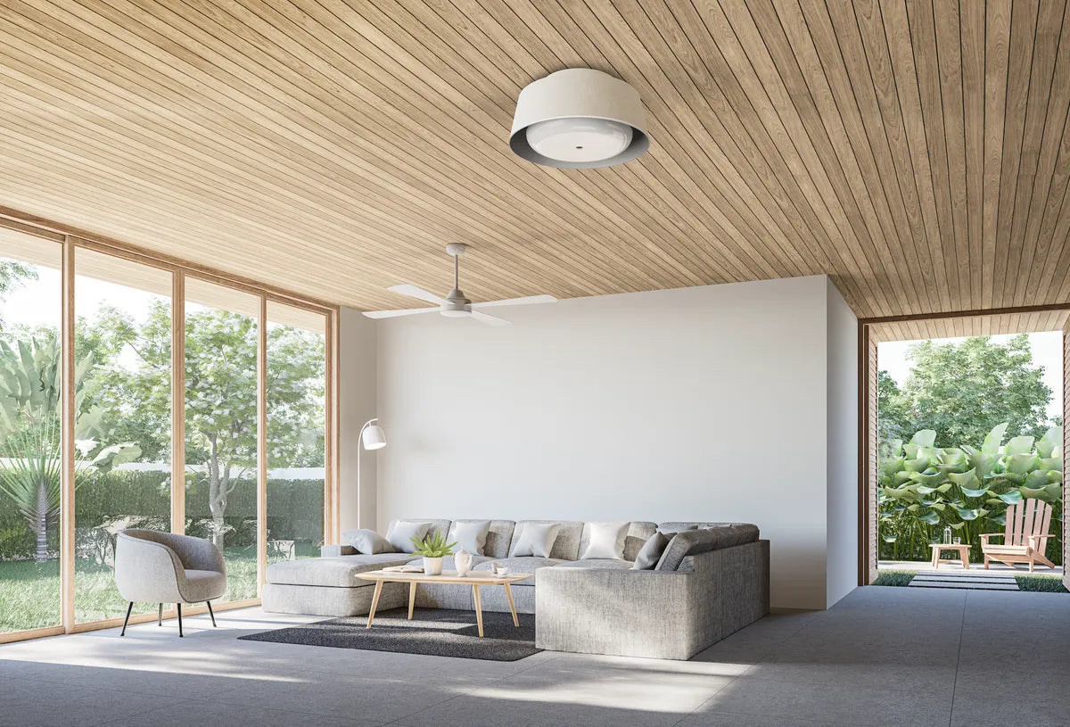 Nobi Ceiling: Your Guardian Angel for Aging in Place