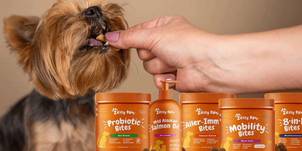 Zen for Your Pup: Zesty Paws Calming Soft Chews